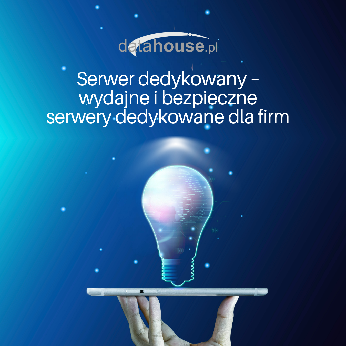 Serwer dedykowany – wydajne i bezpieczne serwery dedykowane dla firm